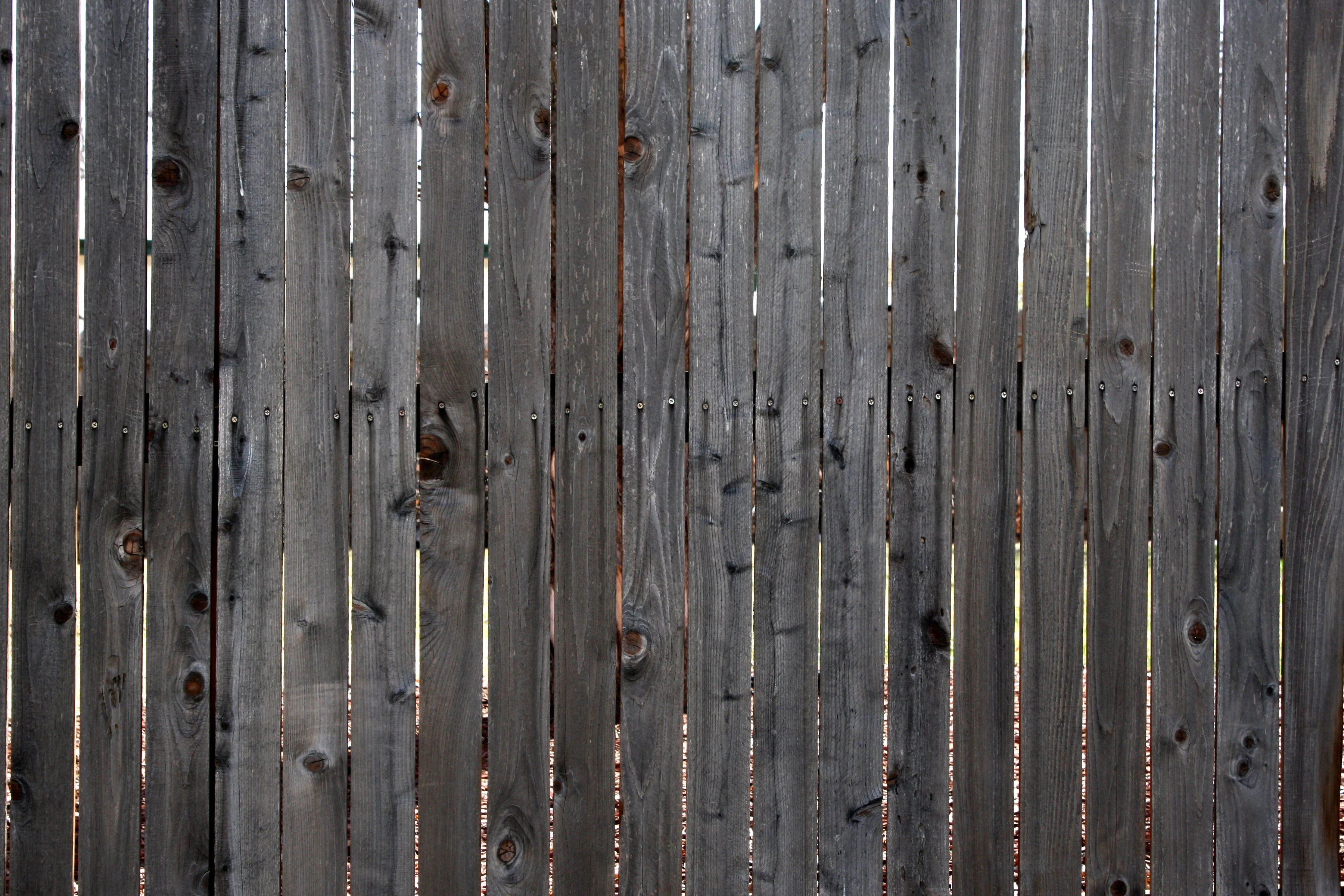 Unsplashed background img 1
